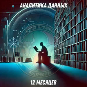 Подписка на аналитику данных (1 год)