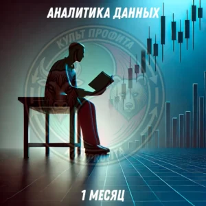 Подписка на аналитику данных (1 месяц)