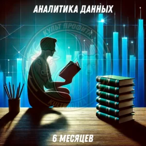Подписка на аналитику данных (6 месяцев)